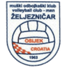 Zeljeznicar logo