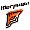 Amurskiye Tigritsy Women logo - Women VS Amurskiye Tigritsy Women Result Today