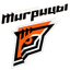 Amurskiye Tigritsy Women logo