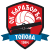 Karadjordje Topola logo - Topola VS Radnicki Score Today