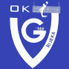 Vezica logo - Zeljeznicar VS Vezica Live Score Today