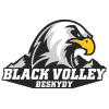 Beskydy logo - Beskydy VS Tj Sokol Dobrichcvice Result