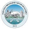 Develi logo - Develi VS Sanliurfa Bsehir Bld Sport