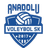 Anadolu Voleybol logo