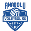 Anadolu Voleybol logo