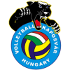 Fino Kaposvar SE logo - Se VS Vegyesz Sport