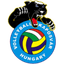 Fino Kaposvar SE logo