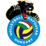 Fino Kaposvar SE logo