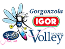 Novara Women logo - Women VS Budowlani Lodz W Result