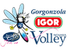 Novara Women logo