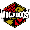 Nagoya logo - Sunbirds VS Nagoya Result