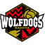 Nagoya logo