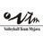 Myjava logo