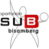 Bisamberg logo - Bisamberg VS Wr Neustadt Result Today