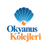 Okyanus Koleji logo
