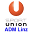 Linz/Steg logo