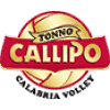 Vibo Valentia logo - Valentia VS Bergamo Live