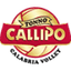 Vibo Valentia logo