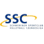 SC Schweriner Women logo