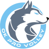 PRO Volley logo - Volley VS Ach Ljubljana Score