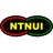 NTNUI logo