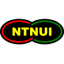 NTNUI logo