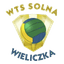 Solna Wieliczka Women logo