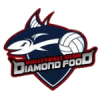 Diamond Food logo - Arabi VS Diamond Food Result
