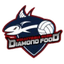 Diamond Food logo