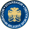 Diyarbakir Women logo - Women VS Eregli Bld W Sport