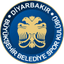 Diyarbakir Women logo