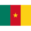 Cameroon W logo