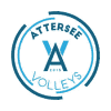 Lenzing logo - Salzburg VS Lenzing Live Score