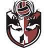 ASK N. Novgorod logo