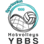 SG SVS hotVolleys W logo