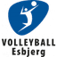 Esbjerg W logo