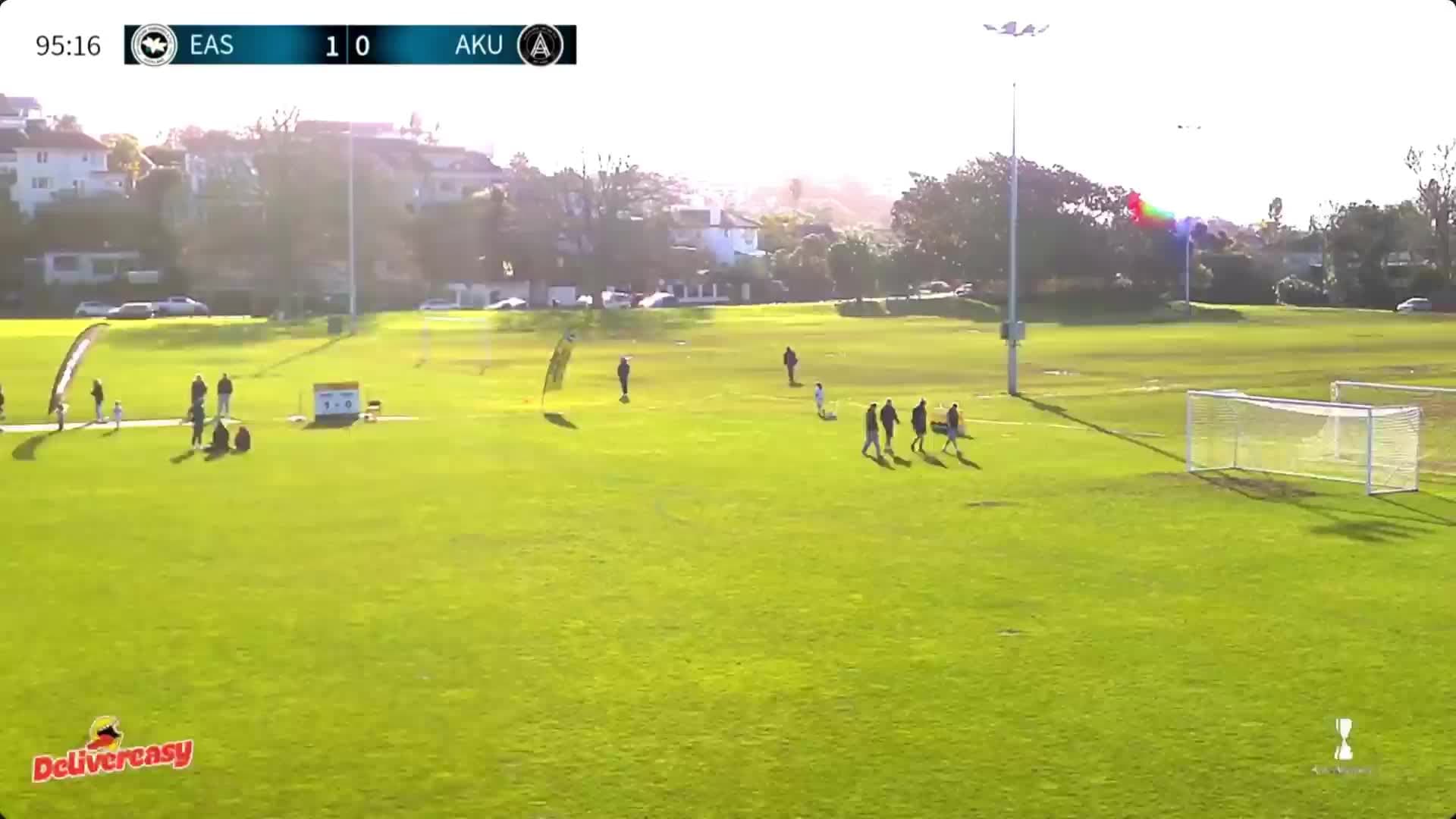 NZ WC