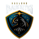 Keelung Black Kites logo - China Taiwan Sbl Taiwan Beer Vs Keelung Black Kites Schedule