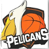 PFC Pelicans logo - Philippines Ncaa Arellano University Chiefs Vs Pfc Pelicans Basketball Live Score