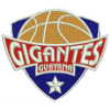 Gigantes de Guayana logo - Fiba Aq Gigantes De Guayana Vs Bermuda Scores