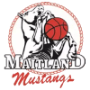 Maitland Mustangs Women logo - Wnbl East Newcastle Falcons Womens Vs Maitland Mustangs Women Basketball Result