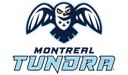 Montreal Toundra logo - Bsl Jamestown Jackals Vs Montreal Toundra Live