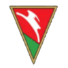 卢布林Lublinianka logo - Poland Plk Pkk Pabianice Vs Lublinianka Result