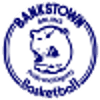 Bankstown Bruins Women logo - Wnbl East Bankstown Bruins Women Vs Ba Coe Women Live Score Today