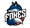 Giussano Women logo - Italy Women A Ants Viterbo Women Vs Giussano Women Live Basketball
