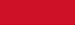 Indonesia Women logo