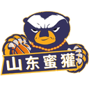Shandong Honey Badger logo - China Nbl Shandong Honey Badger Vs Hefei Kuangfeng Scores