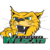 Wilmington Women logo - Wncaa Wilmington Women Vs North Carolina At Women Sport