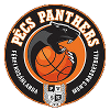 PVSK Pannonpower Pecs logo - Nb Ia Pvsk Pannonpower Pecs Vs Kteduna Aszfalt Schedule