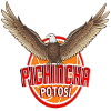 Pichincha Potosi logo - Bolivia Fbb Club Leones De Potosi Vs Pichincha Potosi Live Score Today